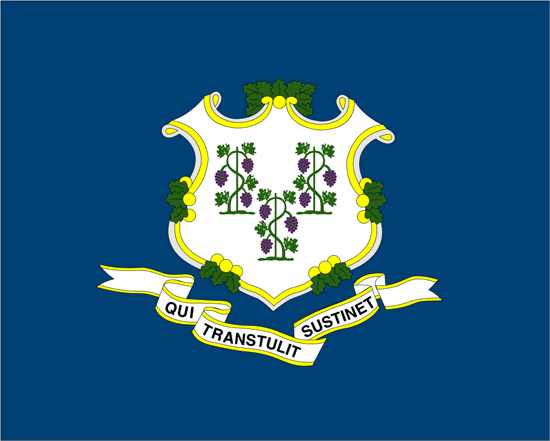 Connecticut Flag-3' x 5' Indoor Flag-0