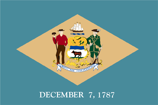 Delaware Flag-3' x 5' Outdoor Nylon-0