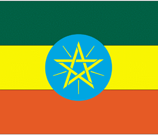 Ethiopia-4" x 6" Desk Flag-0