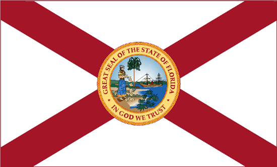 Florida Flag-4" x 6" Desk Flag-0