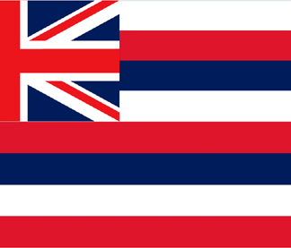 Hawaii Flag-3' x 5' Indoor Flag-0