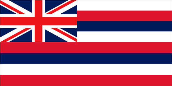 Hawaii Flag-3' x 5' Indoor Flag-0