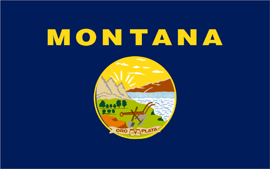 Montana Flag-4" x 6" Desk Flag-0