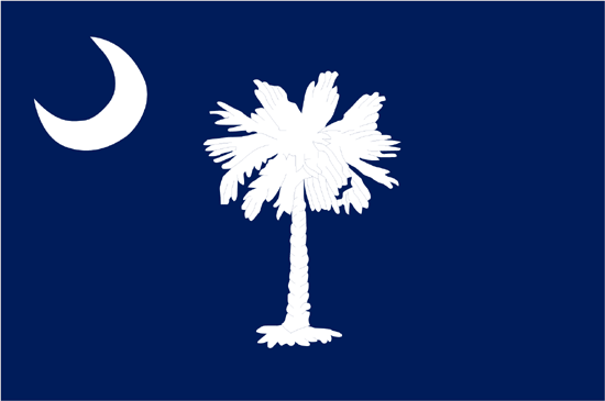 South Carolina Flag-3' x 5' Indoor Flag-0