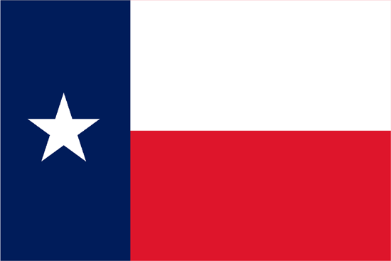 Texas Flag-4" x 6" Desk Flag-0