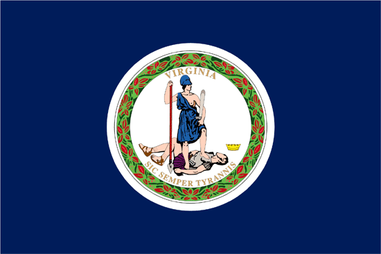 Virginia Flag-3' x 5' Indoor Flag-0