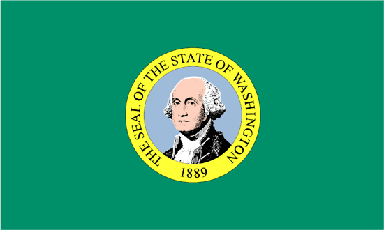 Washington Flag-3' x 5' Indoor Flag-0