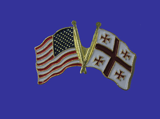 USA+Georgia Republic Friendship Pin-0