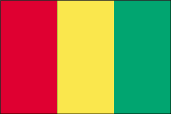 Guinea Flag-4" x 6" Desk Flag-0