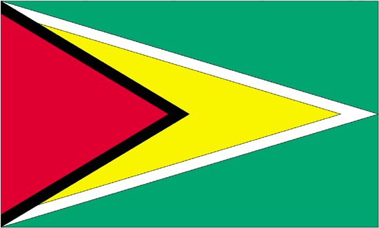 Guyana Flag-4" x 6" Desk Flag-0