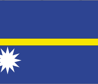 Nauru Flag-4" x 6" Desk Flag-0