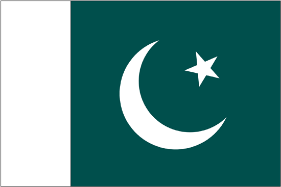 Pakistan Flag-3' x 5' Indoor Flag-0