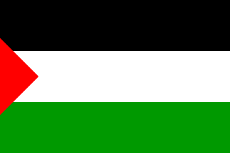 Palestine Flag-3' x 5' Indoor Flag-0