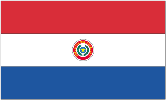 Paraguay Flag-4" x 6" Desk Flag-0