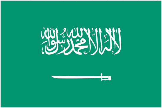 Saudi Arabia Flag-3' x 5' Indoor Flag-0