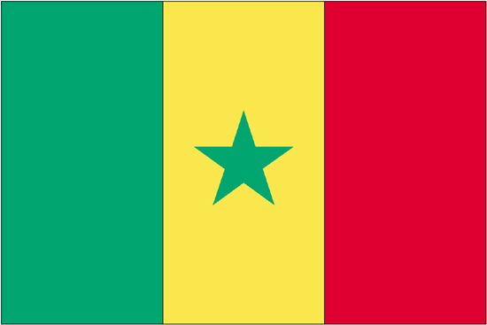Senegal Flag-4" x 6" Desk Flag-0