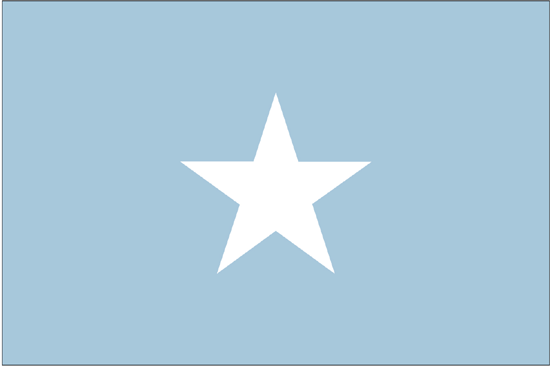 Somalia Flag-3' x 5' Outdoor Nylon-0
