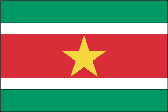 Suriname Flag-3' x 5' Indoor Flag-0