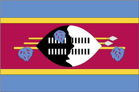 Swaziland Flag-4" x 6" Desk Flag-0