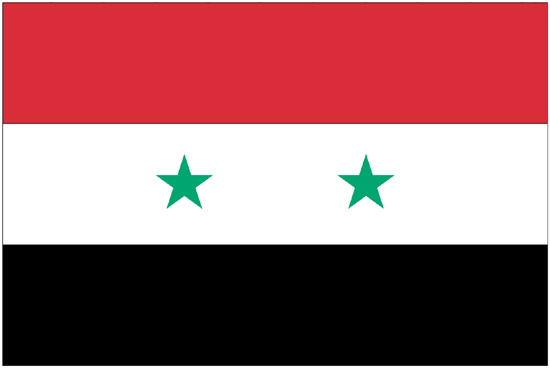 Syria Flag-3' x 5' Indoor Flag-0