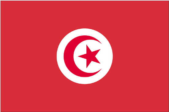Tunisia Flag-4" x 6" Desk Flag-0