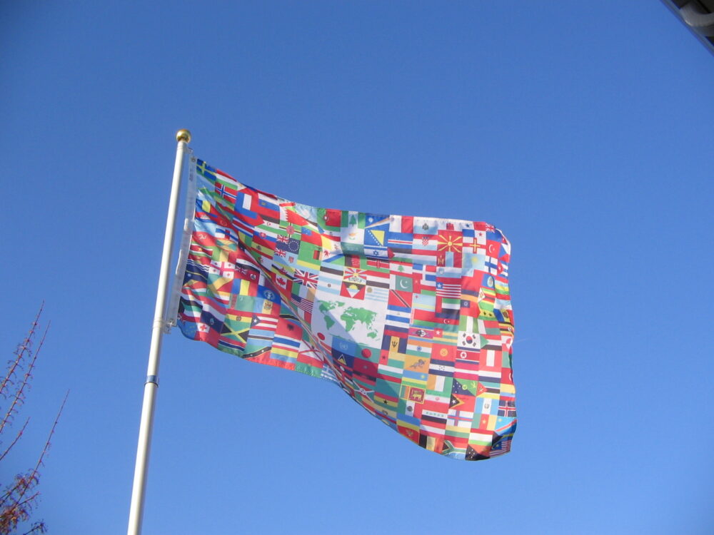 World Flag-5' x 8'-0