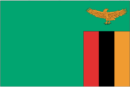 Zambia Flag-4" x 6" Desk Flag-0