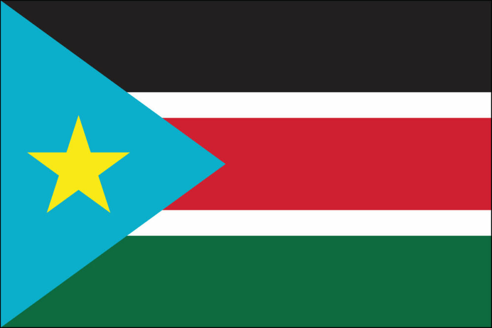 South Sudan Flag-3' x 5' Outdoor Nylon-0